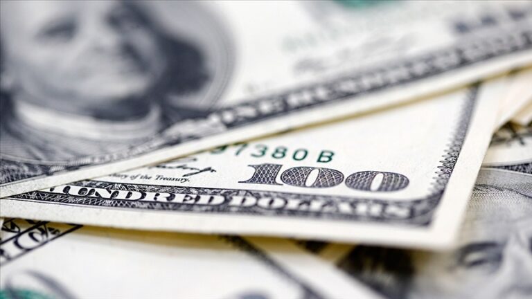 dolar-5-ay-sonra-41-tlnin-uzerinde-z8jsQ6Bz.jpg